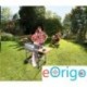 Bosch IXO Collection - grilladapter